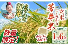 【定期便3回】【数量限定】【令和7年度新米先行予約】新米那珂川町産芳井米 玄米 330g（2合分）×8 | こしひかり 新米 米 ごはん  ふっくら もちもち  ふるさと納税 那珂川町 栃木県