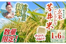 【数量限定】【令和7年度新米】新米那珂川町産芳井米 玄米 330g（2合分）×8 | こしひかり 新米 米 ごはん  ふっくら もちもち  ふるさと納税 那珂川町 栃木県