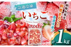【栃木県共通返礼品】冷凍いちご 1kg | いちご とちあいか 冷凍 冷凍イチゴ スイーツ ジャム スムージー たっぷり 大粒  甘い 美味しい 果物 デザート 栃木県 那珂川町 送料無料