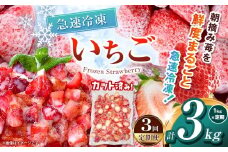 【栃木県共通返礼品】【定期便3回】冷凍いちご 1kg | 定期便 いちご とちあいか 冷凍 冷凍イチゴ スイーツ ジャム スムージー たっぷり 大粒  甘い 美味しい 果物 デザート 栃木県 那珂川町 送料無料