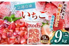 【栃木県共通返礼品】【定期便9回】冷凍いちご 1kg | 定期便 いちご とちあいか 冷凍 冷凍イチゴ スイーツ ジャム スムージー たっぷり 大粒  甘い 美味しい 果物 デザート 栃木県 那珂川町 送料無料