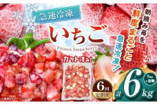 【栃木県共通返礼品】【定期便6回】冷凍いちご 1kg | 定期便 いちご とちあいか 冷凍 冷凍イチゴ スイーツ ジャム スムージー たっぷり 大粒  甘い 美味しい 果物 デザート 栃木県 那珂川町 送料無料