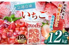 【栃木県共通返礼品】【定期便12回】冷凍いちご 1kg | 定期便 いちご とちあいか 冷凍 冷凍イチゴ スイーツ ジャム スムージー たっぷり 大粒  甘い 美味しい 果物 デザート 栃木県 那珂川町 送料無料