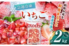 【栃木県共通返礼品】冷凍いちご 2kg | いちご とちあいか 冷凍 冷凍イチゴ スイーツ ジャム スムージー たっぷり 大粒  甘い 美味しい 果物 デザート 栃木県 那珂川町 送料無料