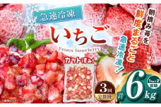 【栃木県共通返礼品】【定期便3回】冷凍いちご 2kg | 定期便 いちご とちあいか 冷凍 冷凍イチゴ スイーツ ジャム スムージー たっぷり 大粒  甘い 美味しい 果物 デザート 栃木県 那珂川町 送料無料