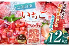 【栃木県共通返礼品】【定期便6回】冷凍いちご 2kg | 定期便 いちご とちあいか 冷凍 冷凍イチゴ スイーツ ジャム スムージー たっぷり 大粒  甘い 美味しい 果物 デザート 栃木県 那珂川町 送料無料