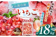【栃木県共通返礼品】【定期便9回】冷凍いちご 2kg | 定期便 いちご とちあいか 冷凍 冷凍イチゴ スイーツ ジャム スムージー たっぷり 大粒  甘い 美味しい 果物 デザート 栃木県 那珂川町 送料無料