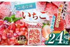 【栃木県共通返礼品】【定期便12回】冷凍いちご 2kg | 定期便 いちご とちあいか 冷凍 冷凍イチゴ スイーツ ジャム スムージー たっぷり 大粒  甘い 美味しい 果物 デザート 栃木県 那珂川町 送料無料