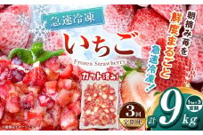 【栃木県共通返礼品】【定期便3回】冷凍いちご 3kg | いちご とちあいか 冷凍 冷凍イチゴ スイーツ ジャム スムージー たっぷり 大粒  甘い 美味しい 果物 デザート 栃木県 那珂川町 送料無料