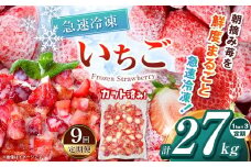 【栃木県共通返礼品】【定期便9回】冷凍いちご 3kg | いちご とちあいか 冷凍 冷凍イチゴ スイーツ ジャム スムージー たっぷり 大粒  甘い 美味しい 果物 デザート 栃木県 那珂川町 送料無料