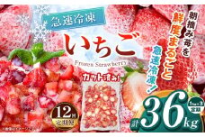 【栃木県共通返礼品】【定期便12回】冷凍いちご 3kg | いちご とちあいか 冷凍 冷凍イチゴ スイーツ ジャム スムージー たっぷり 大粒  甘い 美味しい 果物 デザート 栃木県 那珂川町 送料無料