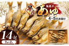 【先行予約】【4月～5月旬の鮎をお届け】早月あゆ（塩焼き）成魚になる前のやわらかい鮎 | 早月あゆ 塩焼き旬 やわらかい 早月あゆの塩焼き 成魚前 早月あゆ 4月 早月鮎 塩焼きお取り寄せ 旬の鮎 塩焼 新鮮早月あゆ塩焼き ギフト ふるさと納税 栃木県 那珂川町 送料無料