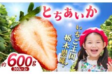 【先行予約】【期間限定】那珂川町産とちあいか 2月発送分 300g×2 |いちご とちあいか ジューシー フルーティー 大きい 新鮮 甘い 美味しい 果物 共通返礼品 フルーツ デザート 栃木県 那珂川町 送料無料