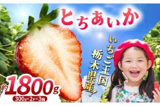【先行予約】【期間限定】那珂川町産とちあいか 1月発送分 300g×2×3 | いちご とちあいか ジューシー フルーティー 大きい 新鮮 甘い 美味しい 果物 共通返礼品 フルーツ デザート 栃木県 那珂川町 送料無料