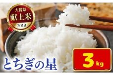 令和7年新米 石井米（とちぎの星） 3kg | 3kg ふるさと納税 とちぎの星 那珂川町産 美味しい お弁当 おにぎり おいしい 数量限定 ご飯 送料無料 栃木県 那珂川町