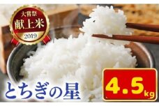 令和7年新米 石井米（とちぎの星） 4.5kg | ふるさと納税 とちぎの星 那珂川町産 美味しい お弁当 おにぎり おいしい 数量限定 ご飯 送料無料 栃木県 那珂川町