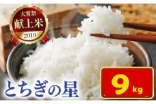 令和7年新米 石井米（とちぎの星） 9kg | ふるさと納税 とちぎの星 那珂川町産 美味しい お弁当 おにぎり おいしい 数量限定 ご飯 送料無料 栃木県 那珂川町