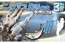 ニジマス釣り体験 | 体験 釣り 魚 ニジマス お食事付き ふるさと納税 栃木県 那珂川町 送料無料