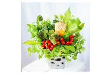 野菜ブーケギフトLサイズ