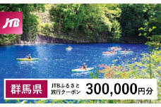 【群馬県】JTBふるさと旅行クーポン（Eメール発行）（300,000円分）｜群馬 群馬県 温泉 ホテル 旅館 草津 伊香保 水上 四万 老神 万座 旅行券 宿泊券 旅行 クーポン 宿泊 トラベル 観光