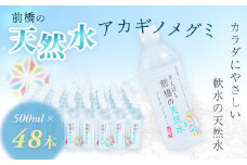 水 ミネラルウォーター 500ml 24本×2箱 48本 合計24L | 飲料水 みず ナチュラル ミネラルウォーター 天然水 軟水 長期保存 備蓄 防災  水 ミネラルウォーター ペットボトル 長期保存水 備蓄水 備蓄用 非常災害備蓄用 災害用 避難用品 防災グッズ 国産 群馬県 前橋市