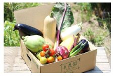野菜ソムリエが送る 良農園の旬野菜ギフト | 野菜ソムリエ 旬野菜 イタリア野菜 野菜セット 詰め合わせ ギフト 贈り物 国産 朝採れ 新鮮野菜 季節の野菜 産直 食品ギフト 手土産 群馬県 前橋市
