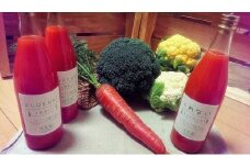 無農薬で育った良農園の野菜とにんじんジュースのセット | 無農薬 野菜 にんじんジュース 野菜セット 新鮮野菜 野菜ジュース セット 野菜 ギフト 旬の野菜 にんじん 野菜 お取り寄せ 群馬県 前橋市