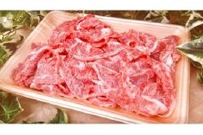 ＜限定！100セット＞群馬県産上州和牛切り落とし 300g｜ ブランド牛 銘柄牛 和牛 すき焼き 牛肉 贈り物 プレゼント 高級 しゃぶしゃぶ 焼しゃぶ 赤身 最高級  家族 子ども 鍋 上州牛 牛肉 しゃぶしゃぶ 年末 家族 集まり パーティ 薄切り やわらか うまい 鍋 コク 薄切り 鍋 人気 ブランド豚 高評価 人気 超人気 ブランド 豚 スライス 赤身 脂 バランス 甘い 群馬県 前橋市