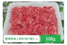 群馬県産上州牛切り落とし 500g｜ ブランド牛 銘柄牛 和牛 すき焼き 牛肉 贈り物 プレゼント 高級 しゃぶしゃぶ 焼しゃぶ 赤身 最高級  家族 子ども 鍋 上州牛 牛肉 しゃぶしゃぶ 年末 家族 集まり パーティ 薄切り やわらか うまい 鍋 コク 薄切り 鍋 人気 ブランド豚 高評価 人気 超人気 ブランド 豚 スライス 赤身 脂 バランス 群馬県 前橋市
