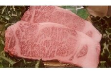 父の日 上州和牛ステーキセット（サーロイン約250g×2枚・モモ約120g×4枚）｜ ブランド牛 銘柄牛 群馬県産 上州和牛 ステーキセット  上州 和牛 ステーキ セット 和牛 肉 サーロイン モモ 牛肉 高級 焼肉 BBQ 群馬県 前橋市