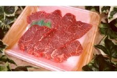 群馬県産上州和牛焼き肉セット (450g×2パック) |  ブランド牛 銘柄牛 群馬県産 上州和牛 焼き肉 セット 焼き肉セット  和牛 高級 ぜいたく 贅沢 特別 牛 BBQ 群馬県 前橋市 