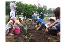 農作業半日体験 | 体験型返礼品 体験 農業体験 農業 アグリの森 群馬県 前橋市