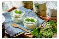 こだわりヨーグルトセット 400g×6個 2,400g｜乳製品 ヨーグルト 牛 牛乳 低脂肪 酵母 ジャージー牛 有機牧草 プレーン フルーツ 詰め合わせ スイーツ お取り寄せ お菓子 ギフト 贈答 贈り物 乳酸 低糖 低カロリー  群馬県 前橋市