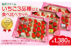 【2026年 先行予約】いちご 3~6品種 食べ比べセット 計6パック 約230g×6パック 計約1.4kg 【農林水産大臣賞受賞農園】｜ 朝採れ やみつき高品質 たっぷり 贈答用 新鮮 完熟 いちご 旬 苺 ストロベリー 高級 産地直送 果汁 甘い あまい 人気 高評価 高糖度 ごほうび プレゼント 群馬県 前橋市