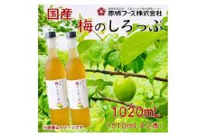 すっきり爽やかな味～国産 梅のしろっぷ 2本セット | 梅シロップ 国産梅 梅ドリンク 梅ジュース 梅しろっぷ 2本セット 梅エキス さっぱり飲料 クエン酸 ギフトセット お中元ギフト 爽やかドリンク お取り寄せ ノンアルコール 群馬県 前橋市