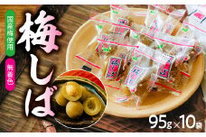 敬老の日 梅しば 10袋｜かりかり梅 無着色 駄菓子 お茶請け お茶菓子 おやつ おばあちゃん家 おいしい 梅干し 梅干 うめぼし 梅 小粒 小梅 カリカリ梅 個包装 すっぱい 群馬県 前橋市