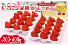 【2026年 先行予約】いちご 贈答用 2品種 食べ比べ 約400g入りトレー×２ 計800g 農林水産大臣賞受賞農園｜やよいひめ あまおとめ さちのか 紅ほっぺ おいCベリー 甘雫姫 スターナイト 星うらら コク 甘み 朝採れ 産地直送 贈り物 新鮮 完熟 旬 人気 高評価 群馬県 前橋市