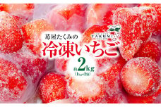 冷凍いちご 2kg 1kg×2袋 ｜訳あり 朝採れ やみつき高品質 たっぷり 贈答用 新鮮 完熟 いちご 旬 苺 ストロベリー 高級 産地直送 果汁 甘い あまい 人気 高評価 減農薬 有機肥料 高糖度 ごほうび プレゼント ジャム スムージー ハイボール 群馬県 前橋市