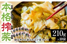 ザーサイ 210g×10袋 計2.1kg｜ザーサイ 中華 惣菜 つまみ お酒 ごはん お供 