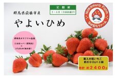 【先行予約】2026年産 いちご【定期便／３ヵ月連続お届け】『やよいひめ』 約800g×3回（総量2.4Kg)【2025年群馬県いちご品評会入賞！】