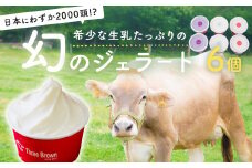 ジェラート 幻の牛の生乳から作る 無添加ジェラート 6個 | ジェラート 無添加 ミルク いちご ブルーベリー 旬 生乳 高級 美味しい 人気 リッチ 極上 乳製品 新鮮 定番 なめらか 自然 アイス 冷たい ミルク デザート おやつ 贈り物 贈答 食後 口直し 群馬県 前橋市