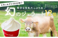 ジェラート 幻の牛の生乳から作る 無添加ジェラート 12個 ｜ジェラート 無添加 ミルク いちご ブルーベリー 旬の味 お任せフレーバー 旬 生乳 高級 美味しい 人気 リッチ 極上 乳製品 新鮮 定番 なめらか 自然 アイス 冷たい ミルク デザート おやつ 贈り物 贈答 食後 口直し 群馬県 前橋市