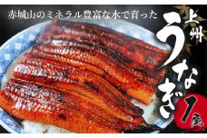 R4-55　上州うなぎ蒲焼　1尾（150g以上）｜鰻 国産うなぎ蒲焼き うな重 ひつまぶし ウナギ 蒲焼 人気 おすすめ 贈答 化粧箱入り 簡単調理 丑の日 ご褒美 記念日