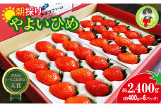 【2026年 先行予約】やよいひめ400g × 6パック 2.4kg｜コク 甘み 朝採れ やよいひめ 大粒 甘み 酸味 バランス 贈答用 新鮮 完熟 いちご 旬 苺 ストロベリー 産地直送 果汁 甘い あまい 人気 高評価 減農薬 美容 健康 旨味 高糖度 ごほうび 群馬県 前橋市