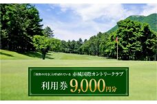 父の日 赤城国際カントリークラブ 利用券 9,000円分 3000円券×3枚｜ゴルフ場 ゴルフ利用券 チケット ゴルフ 利用クーポン ラウンド プレー ハーフ 関東 都心 近い スイング ゴルフクラブ スコア ゴルフコース 歴史 伝統 林間 戦略 1964年開場 四季 見通し 景色 眺望