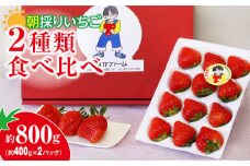 【2026年 先行予約】いちご 2種食べ比べ 400g × 2パック 800g｜コク 甘み 朝採れ やよいひめ ななか 恋みのり あまおとめ あすかルビー 贈答用 新鮮 完熟 いちご 旬 苺 ストロベリー 産地直送 果汁 あまい 人気 高評価 減農薬 美容 健康 旨味 高糖度 ごほうび 群馬県 前橋市 