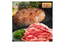 ハンバーグ (上州牛・上州麦豚入り) 4個＋上州牛切り落とし (500g) | ハンバーグ 上州牛 上州麦豚 国産牛 切り落とし肉 簡単調理 お取り寄せ 焼くだけ 惣菜 肉料理 おかず お弁当 洋食 夕飯 お中元 冷凍食品 詰め合わせ 群馬県 前橋市