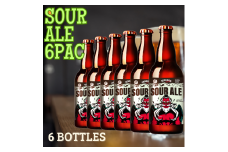 父の日 クラフトビール SOUR ALE 6本セット | 父の日 ビール お酒 クラフトビール 地ビール テングビール 瓶ビール オリジナルビール 微アルコール 女性好み フルーティー すっきり 酸味 プレゼント ギフト 詰め合わせ 家飲み 宅飲み 晩酌 前橋市 群馬県