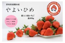 【2026年 先行予約】いちご 『やよいひめ』 約400g【2025年群馬県いちご品評会入賞！】| 群馬県 前橋市