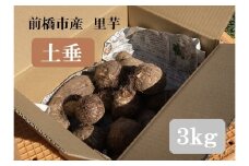【先行予約】里芋　３Ｋｇ（品種：土垂）農薬・化学肥料不使用｜新鮮 農家直送 旬 野菜  さといも　R6-47